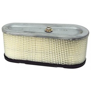 Briggs & Stratton LuftFilter 496894 (NGP496894)