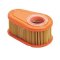 Briggs & Stratton LuftFilter 792038 (NGP792038)